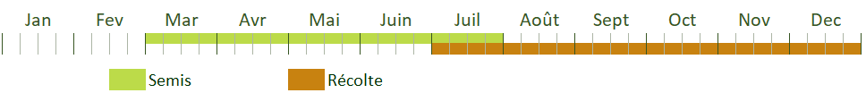 Calendrier de culture